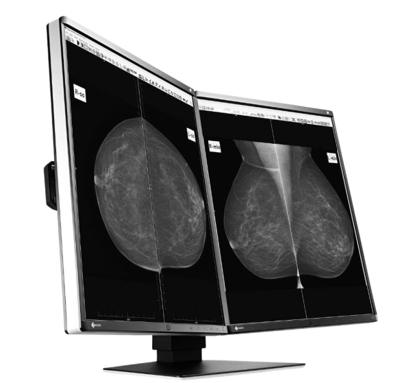 EIZO RadiForce GX560